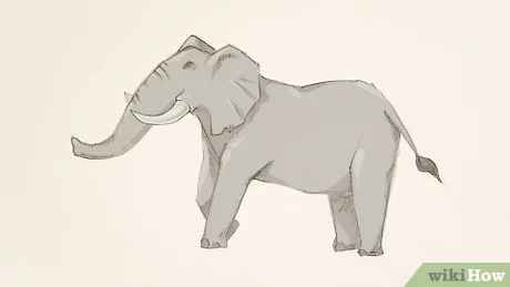 Detail Gambar Gajah Gambar Gajah Nomer 17