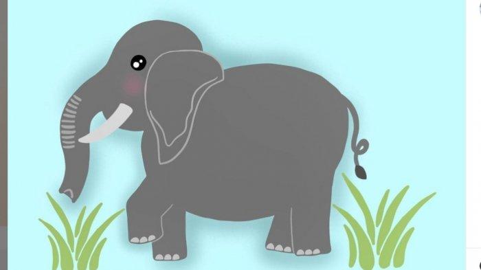 Detail Gambar Gajah Gambar Gajah Nomer 24
