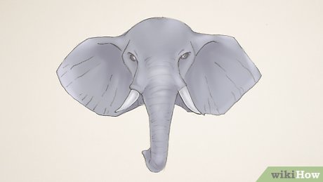 Detail Gambar Gajah Gambar Gajah Nomer 39