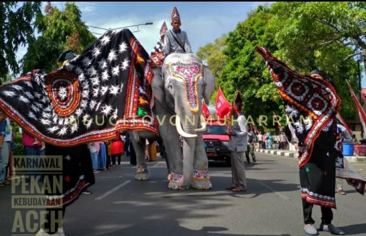 Detail Gambar Gajah Putih Nomer 45