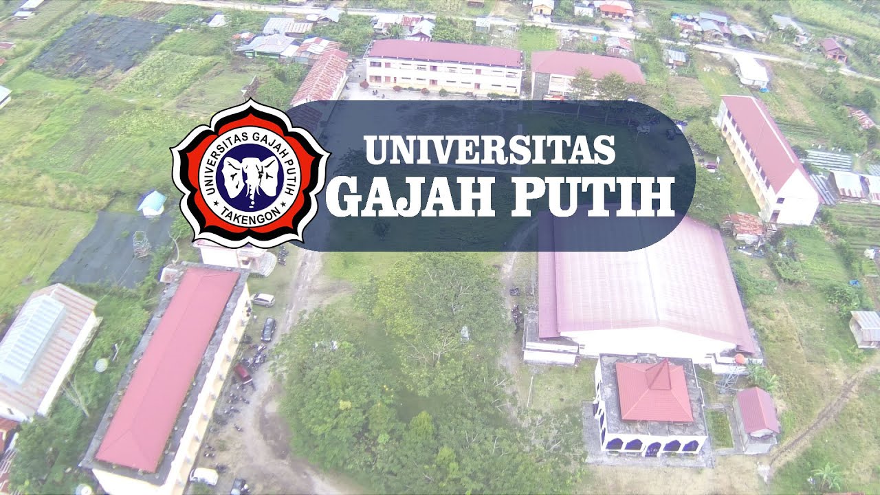 Detail Gambar Gajah Putih Nomer 46