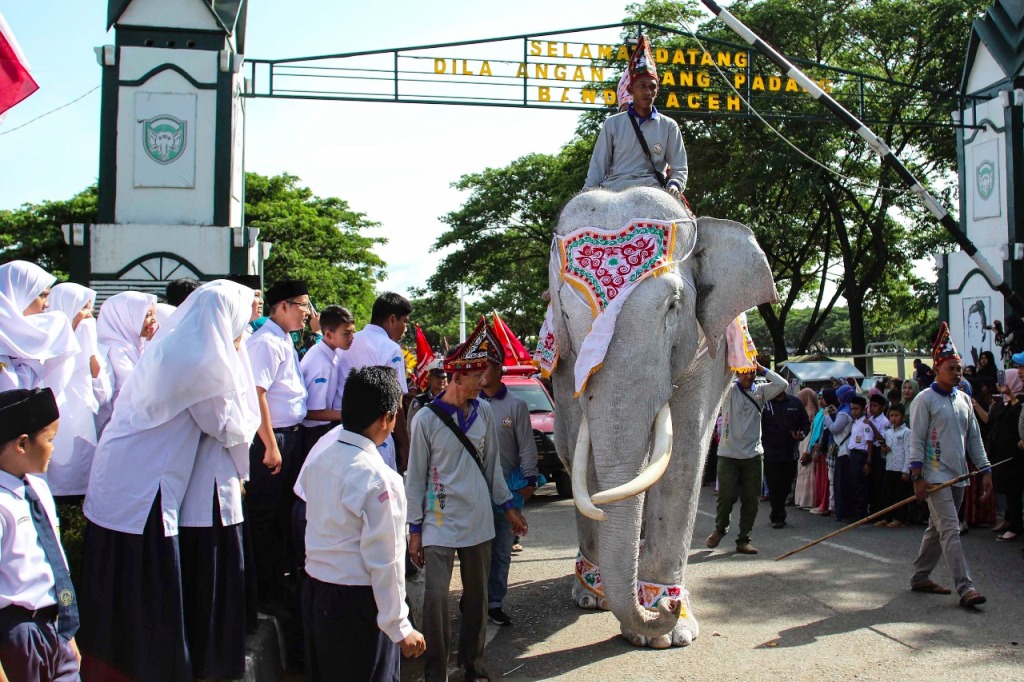 Detail Gambar Gajah Putih Nomer 7