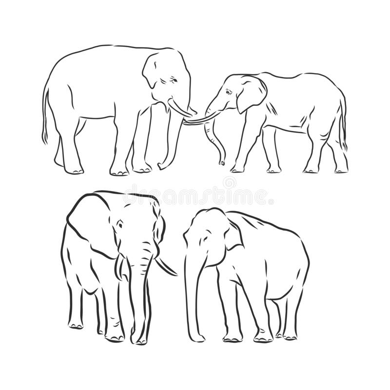 Detail Gambar Gajah Sketch Nomer 11