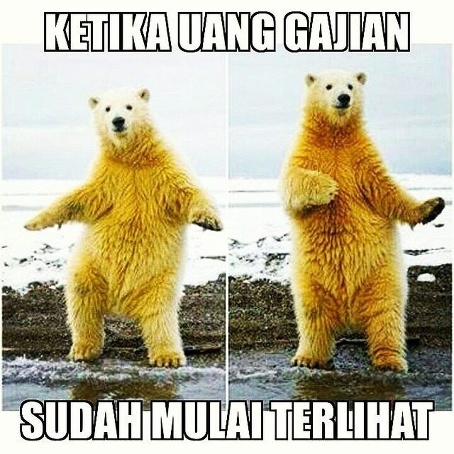 Detail Gambar Gajian Lucu Nomer 13
