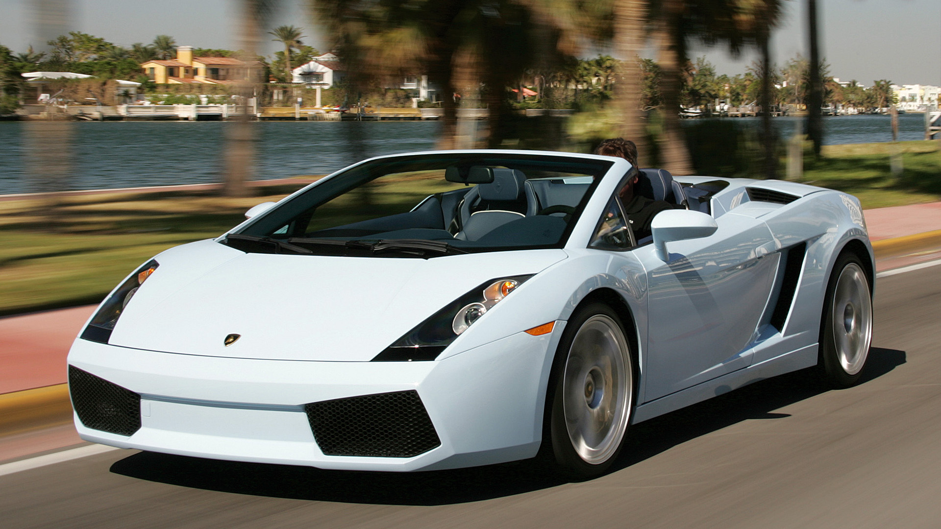 Detail Gambar Gallardo Nomer 13