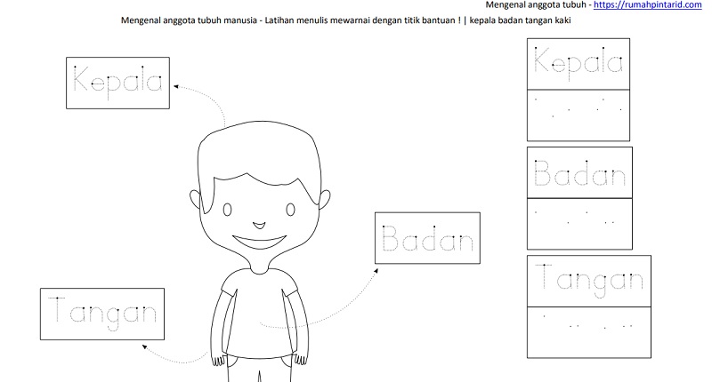 Detail Gambar Gambar Anggota Tubuh Nomer 45