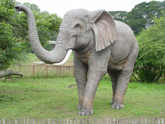 Detail Gambar Gambar Binatang Gajah Nomer 26