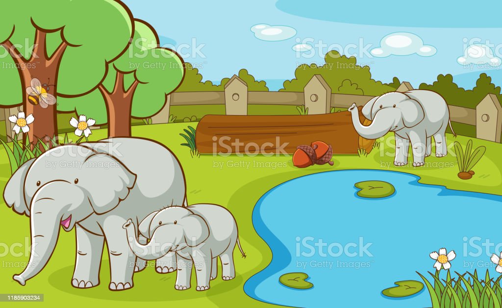 Detail Gambar Gambar Binatang Gajah Nomer 42