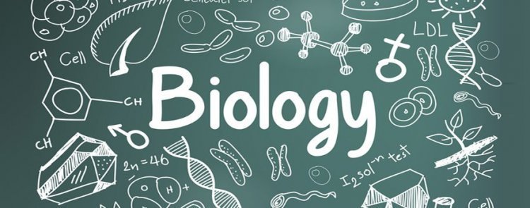 Detail Gambar Gambar Biologi Nomer 14