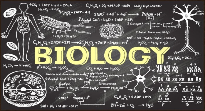 Detail Gambar Gambar Biologi Nomer 6