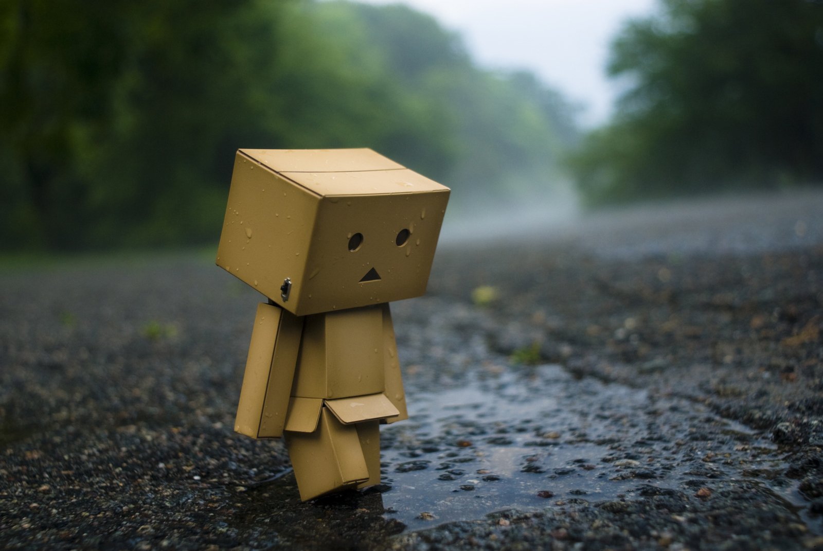 Detail Gambar Gambar Danbo Nomer 2