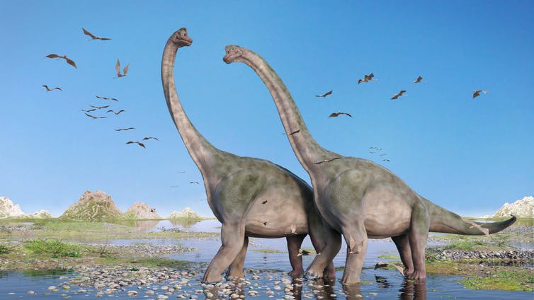 Detail Gambar Gambar Dinosaurus Nomer 11