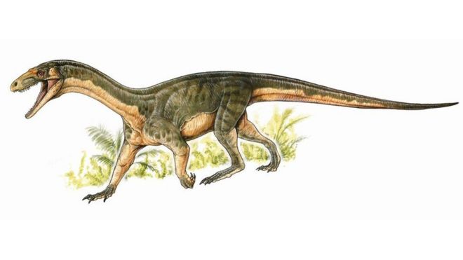 Detail Gambar Gambar Dinosaurus Nomer 43