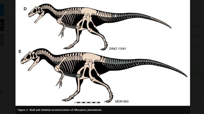Detail Gambar Gambar Dinosaurus Nomer 45