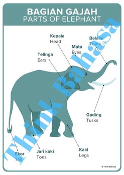 Detail Gambar Gambar Gajah Nomer 4