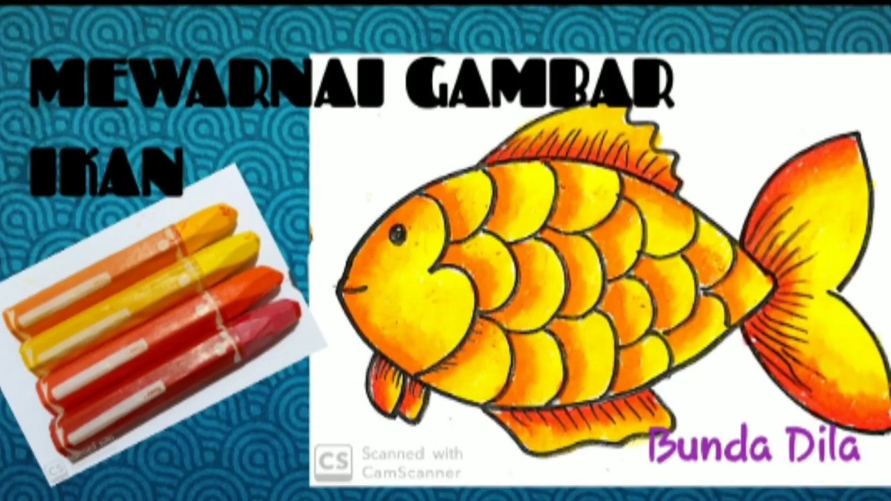 Detail Gambar Gambar Ikan Nomer 29