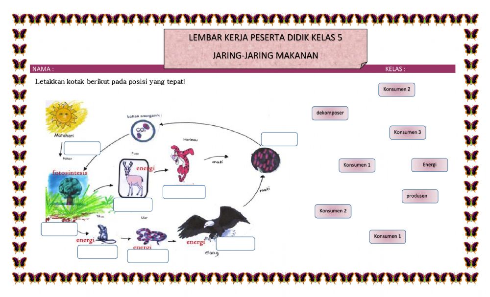 Detail Gambar Gambar Jaring Jaring Makanan Nomer 44