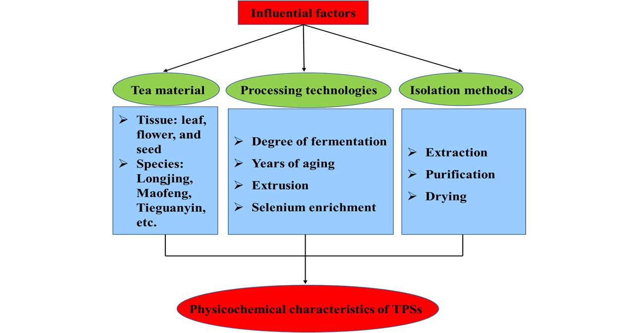 Detail Tea Manufacturing Process Flow Chart Nomer 6