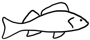 Detail Fisch Gemalt Einfach Nomer 3