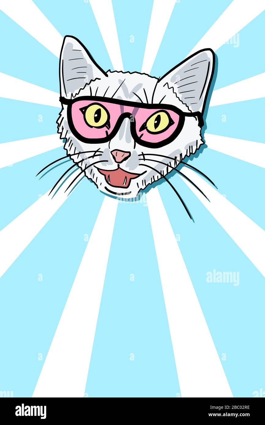 Detail Funny Cat Meme Face Nomer 7