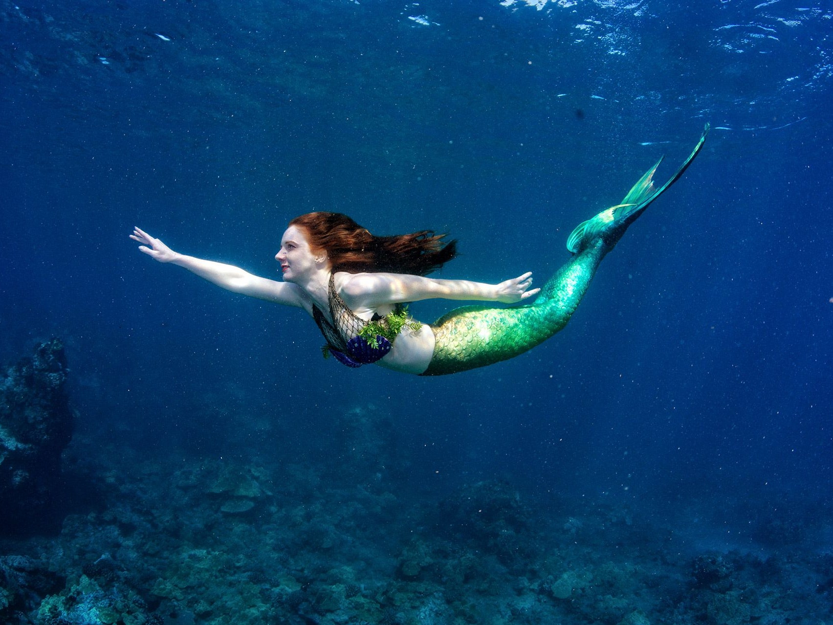 Detail Gambar Gambar Mermaid Nomer 17