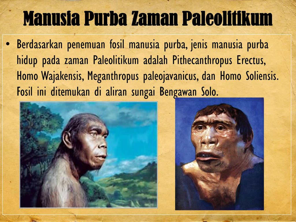 Detail Gambar Gambar Pada Masa Paleolitikum Nomer 24