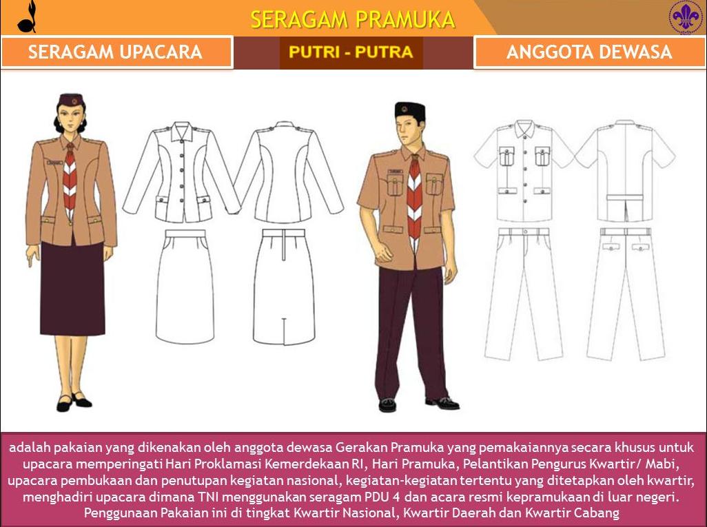 Detail Gambar Gambar Pramuka Nomer 36