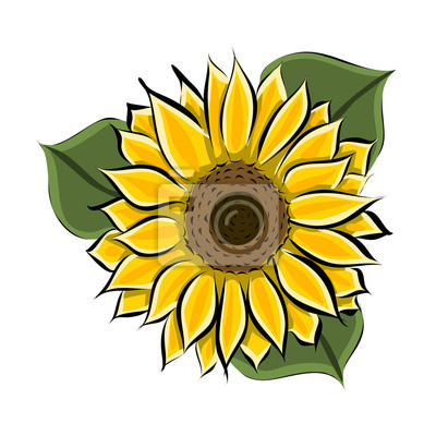 Sonnenblume Gezeichnet - KibrisPDR