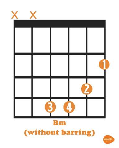 Detail B Moll Gitarre Nomer 13