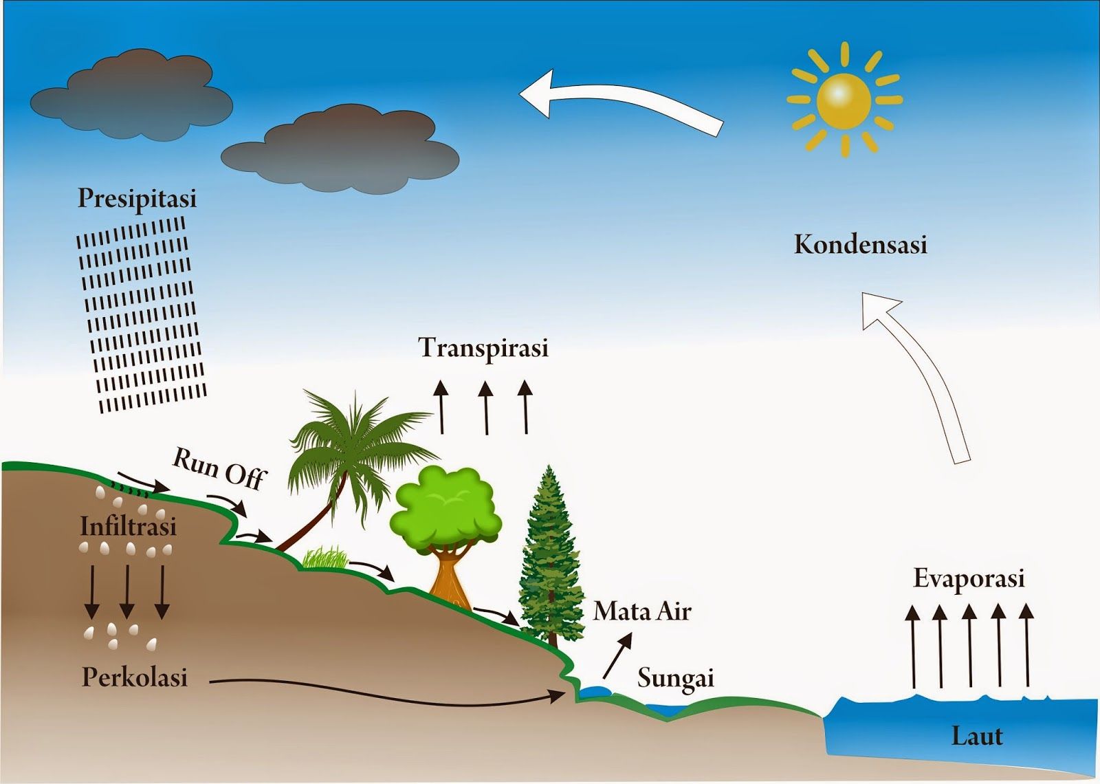 Detail Gambar Gambar Siklus Air Nomer 20