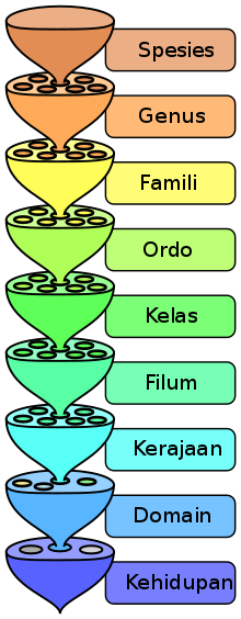 Detail Gambar Gambar Tentang Biologi Nomer 33