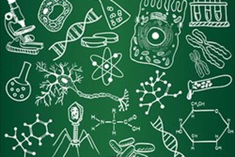 Detail Gambar Gambar Tentang Biologi Nomer 6