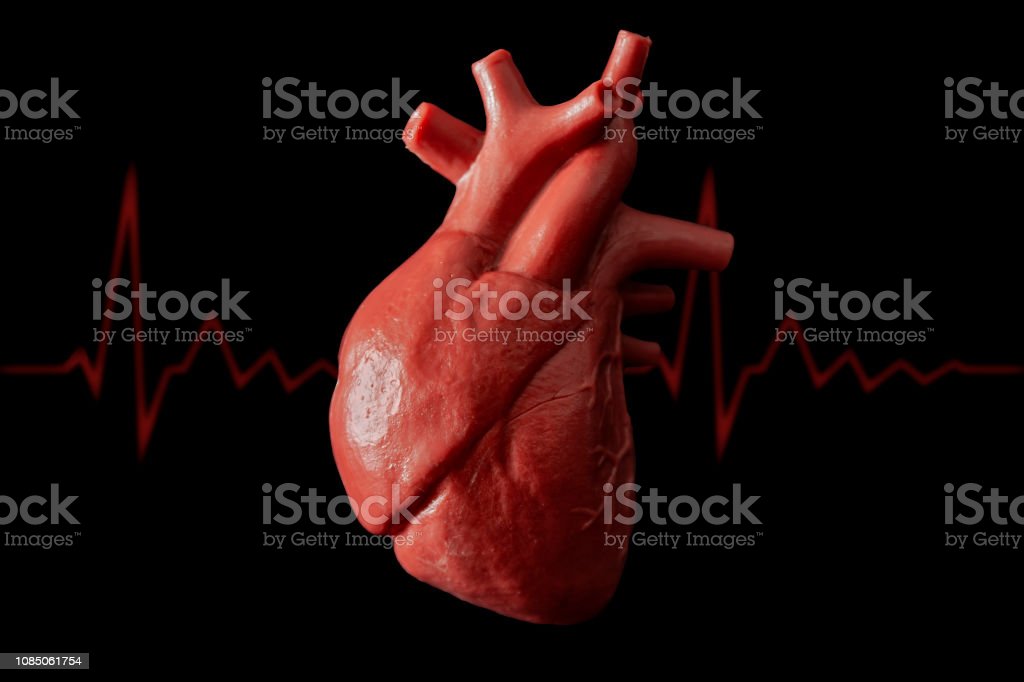 Detail Gambar Gambar Transplantasi Organ Nomer 40