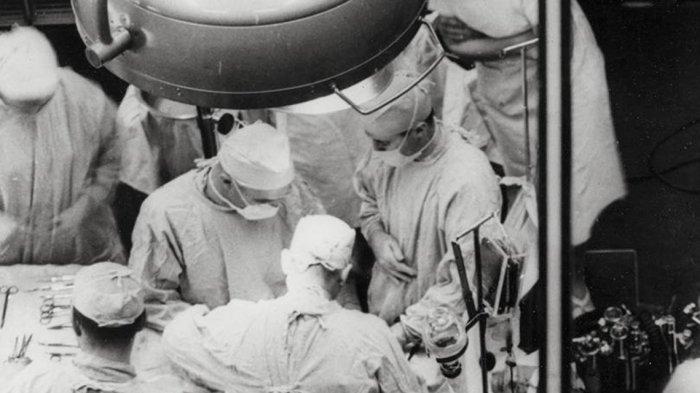 Detail Gambar Gambar Transplantasi Organ Nomer 42