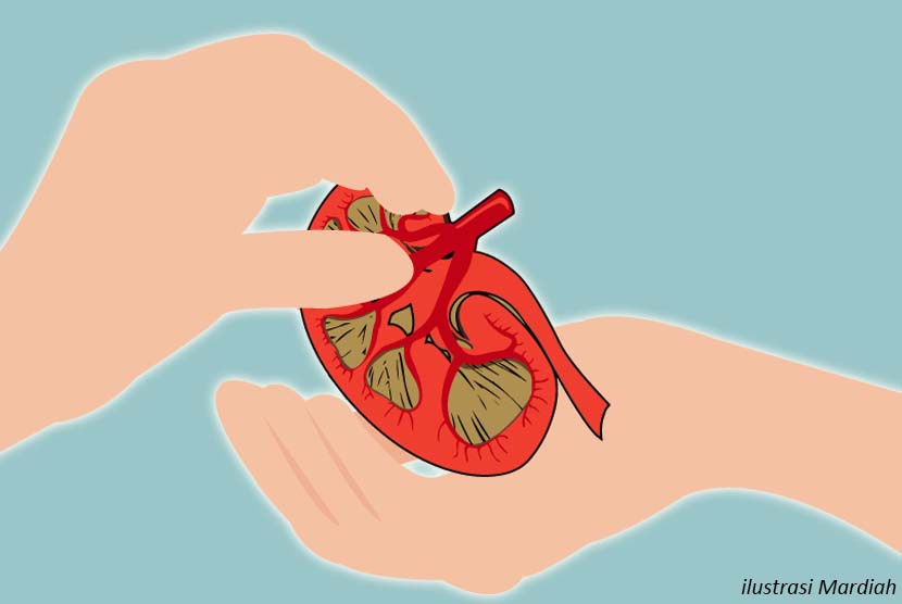 Detail Gambar Gambar Transplantasi Organ Gambar Gambar Transplantasi Organ Tubuh Nomer 16