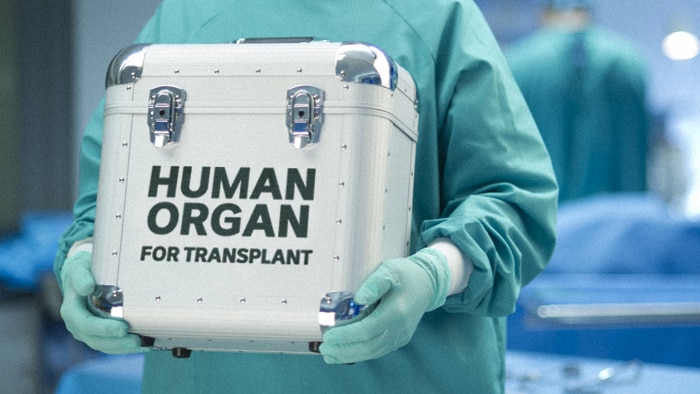 Detail Gambar Gambar Transplantasi Organ Gambar Gambar Transplantasi Organ Tubuh Nomer 27