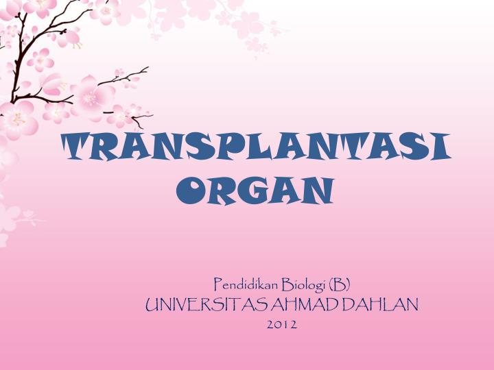 Detail Gambar Gambar Transplantasi Organ Gambar Gambar Transplantasi Organ Tubuh Nomer 28