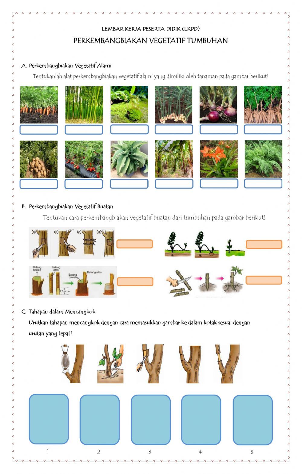 Detail Gambar Gambar Tumbuhan Vegatatif Buatan Dan Alami Nomer 21