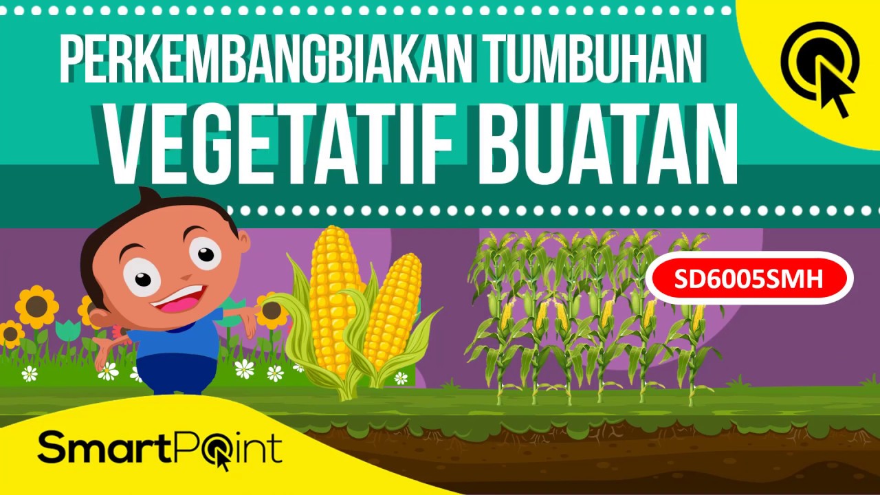 Detail Gambar Gambar Tumbuhan Vegatatif Buatan Dan Alami Nomer 40