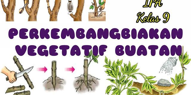 Detail Gambar Gambar Tumbuhan Vegetatif Buatan Dan Alami Nomer 49