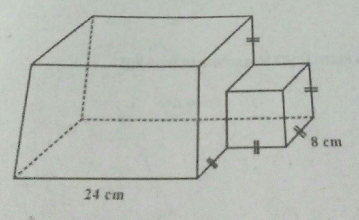 Detail Gambar Ganggang Coklat Fitoplankton Bachilopicieae Nomer 17