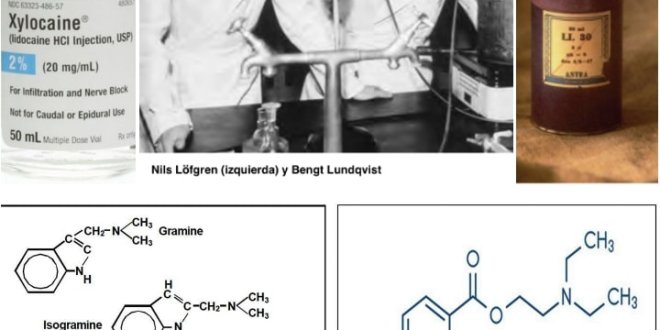 Detail Gambar Gangguan Dan Kelainan Pada Tulang Kesalahan Nutrisi Nomer 50