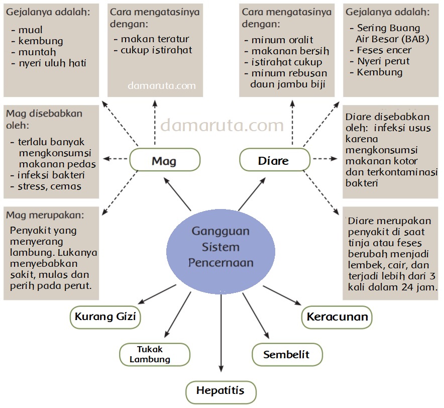 Detail Gambar Gangguan Sistem Pencernaan Nomer 15