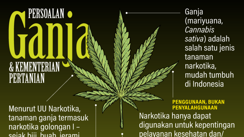 Detail Gambar Ganja Kartun Nomer 47