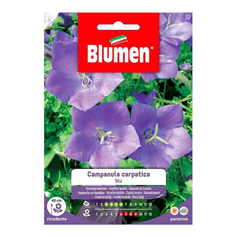 Detail Blaue Blumen Im Rasen Nomer 15