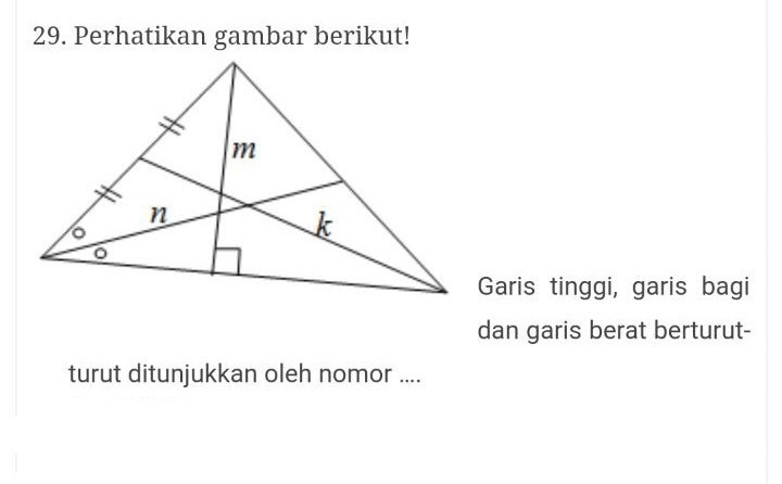 Detail Gambar Garis Bagi Nomer 9