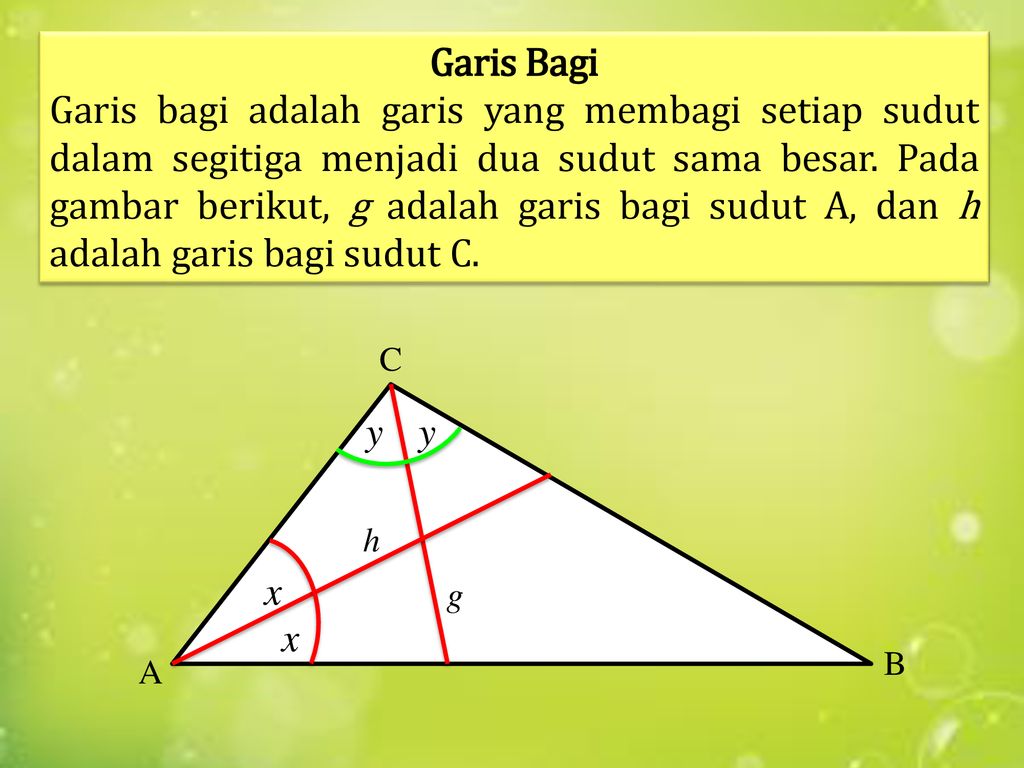 Detail Gambar Garis Bagi Nomer 41