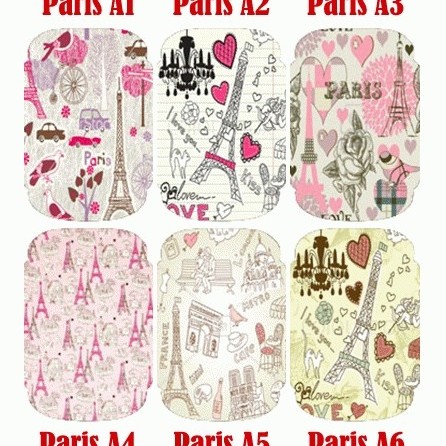 Detail Gambar Garskin Paris Nomer 3