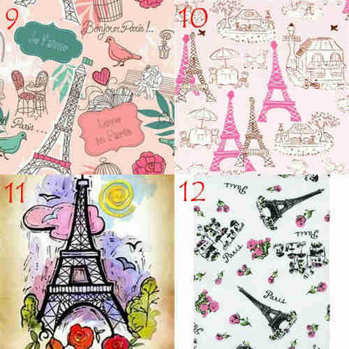 Detail Gambar Garskin Paris Nomer 4