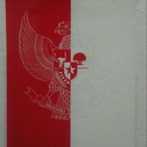 Detail Gambar Garuda Dan Bendera Merah Putih Nomer 38
